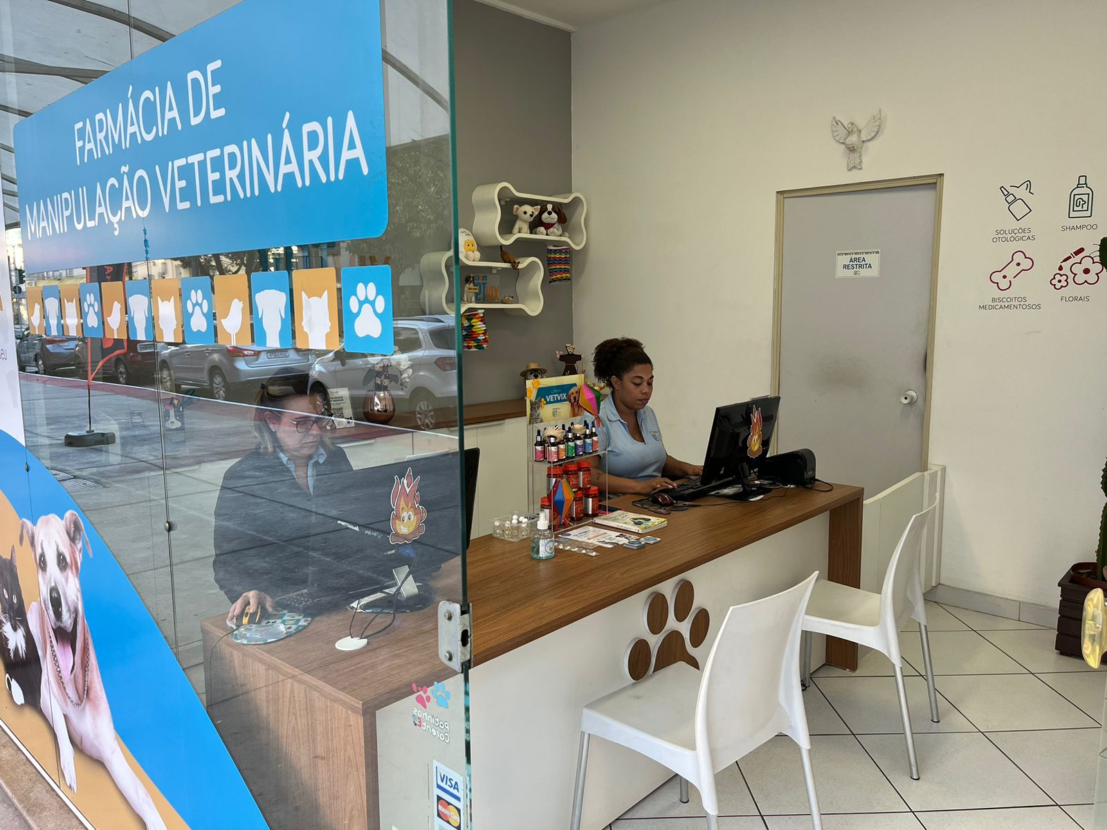Interior da loja, com balcão de atendimento e decoração de patinhas